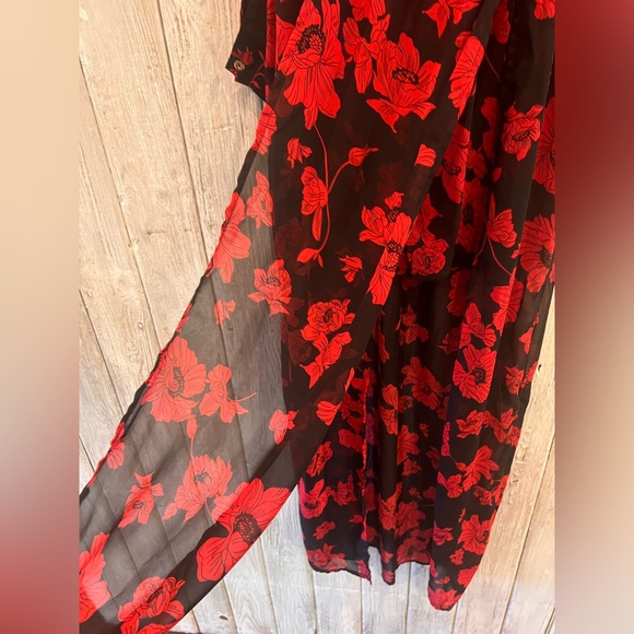 Miley+Molly Red/Black Floral Sheer Dress - Picture 10 of 10
